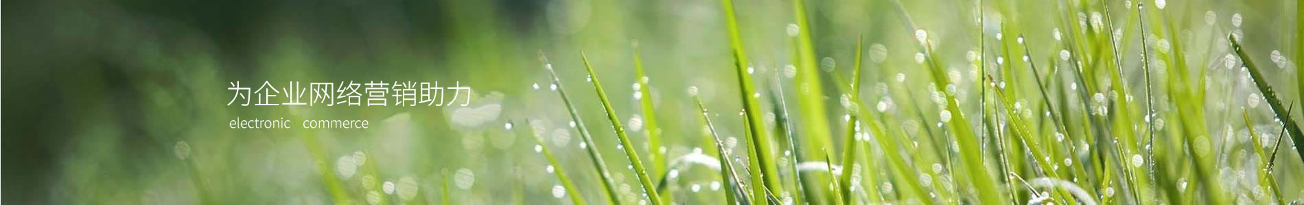 ڽģ޹˾